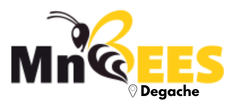 MnBees Tozeur - Degache